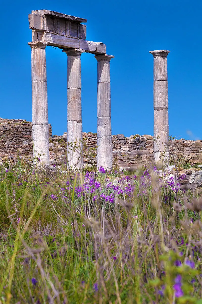 Ancient Greek columns and wildflowers travel photography